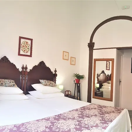 Canaritos Las Palmas de Gran Canaria