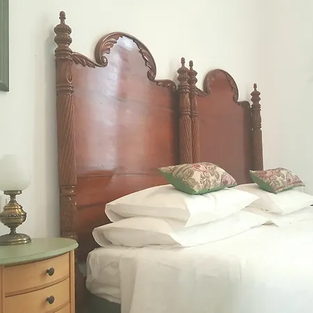 Guest house Canaritos 2*